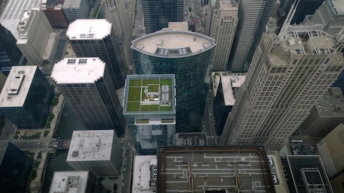 Willis Tower Chicago Skydeck Green Roof