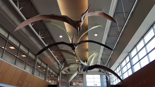 Calgary Airport YYC Flying Dinosaurs